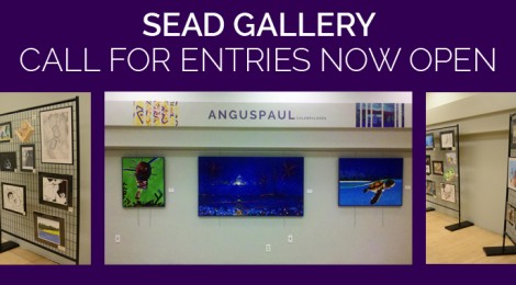 SEAD Gallery Call for Entries Now Open