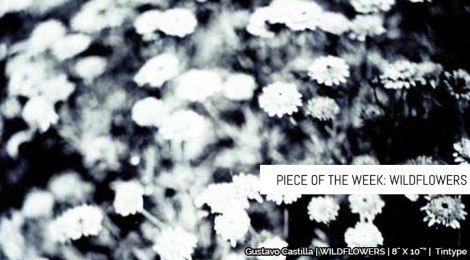 Piece of the Week: Wildflowers
