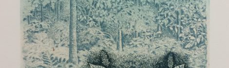 How did she do that? A look into Inari Krohn's printmaking process