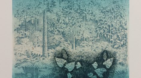 How did she do that? A look into Inari Krohn's printmaking process