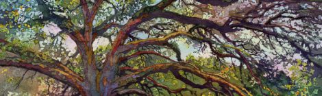 SEAD Gallery Welcomes "Into the Woods"