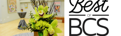 SEAD Gallery: Best of BCS